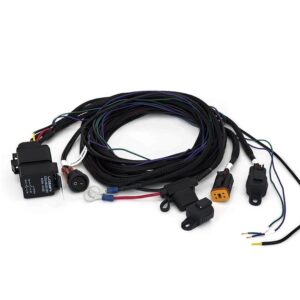 Lazer Two-Lamp Harness Kit - with Switch (with DT06-4S, 12V)