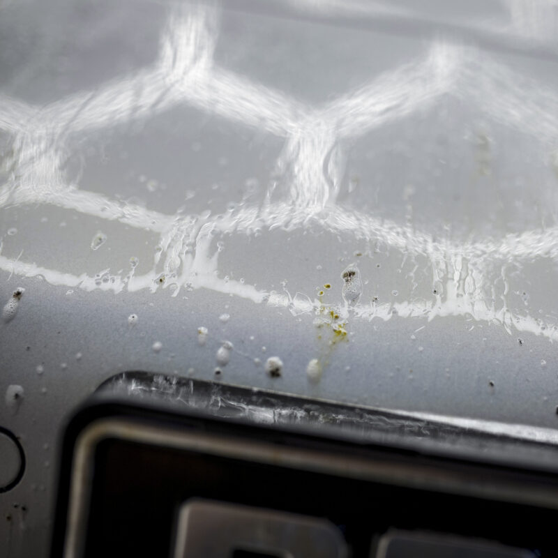 Bug Remover Bad Boys RRCustoms - OPSHOLDERS