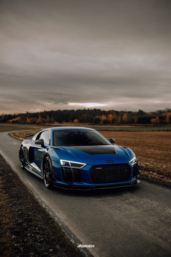 Audi R8 Gen.2 Performance package rear canards