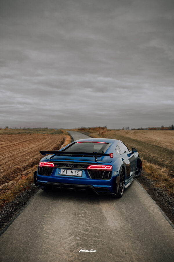 Audi R8 Gen.2 Performance package rear canards