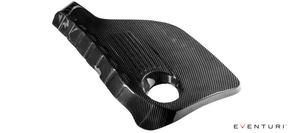 Eventuri BMW F8X M3/M4 Black Carbon Engine Cover EVE-F8XM-CF-ENG