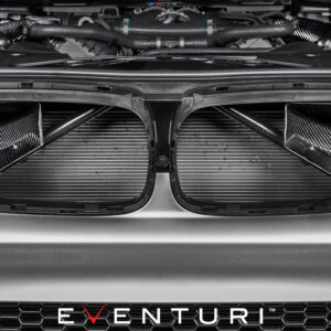 Eventuri BMW F9X M5/M8 Black Carbon intake with shrouds EVE-F9XM5M8-CF-INT