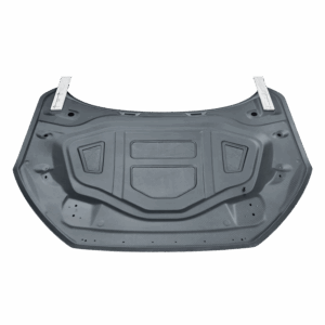Audi RS3 8y Front hood MTTS package