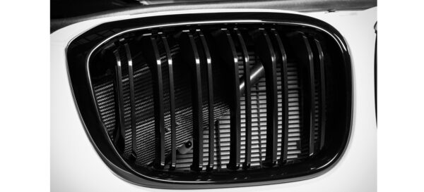 Eventuri BMW F9X X3M/X4M Carbon Intake System - LCI and Pre-LCI Versions EVE-FX34M-V2-INT