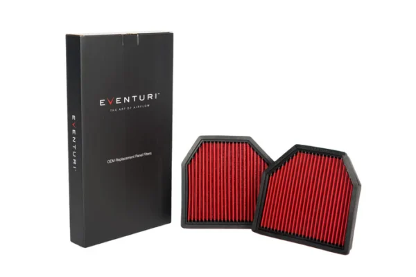 Eventuri BMW F1X M5/M6 Panel Filter Pair EVE-F10M5-PF