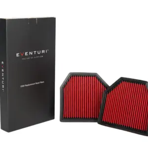 Eventuri BMW F8X M3/M4 Panel Filter Pair EVE-F8XM-PF