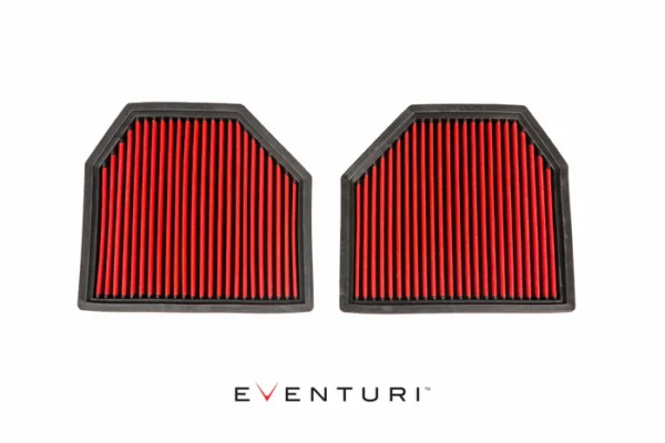 Eventuri BMW F1X M5/M6 Panel Filter Pair EVE-F10M5-PF