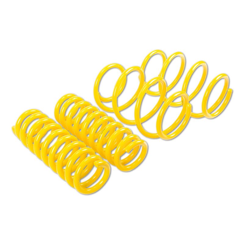 ST-Lowering-sport-springs-2 - OPSHOLDERS