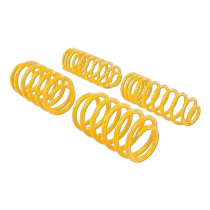 ST-Lowering-sport-springs-4 - OPSHOLDERS