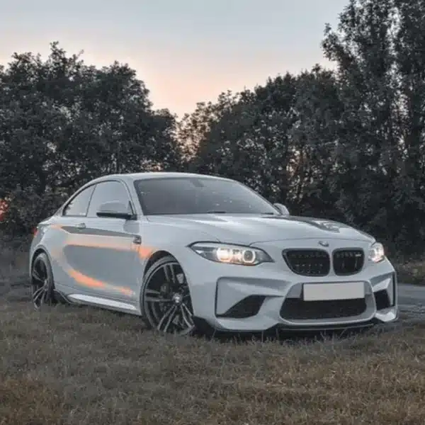 BMW M2/M2C F87 CARBON FIBRE MIDDLE SPLITTER - SK STYLE