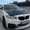 BMW M2/M2C F87 & F20/F22 1&2 SERIES CARBON FIBRE BONNET/HOOD