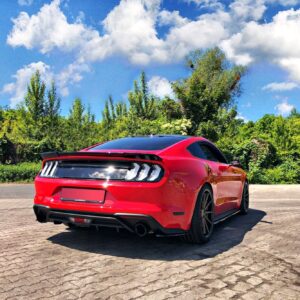 pol_po_Rear-Side-Splitters-Ford-Mustang-Mk-6-Facelift-11009_4jpg - OPSHOLDERS