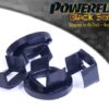 PFR5-1921BLKjpg - OPSHOLDERS