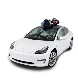 SeaSucker Pallavicini Ski Rack SK2425