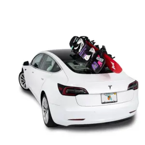 SeaSucker Pallavicini Ski Rack SK2425