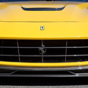 Novitec Ferrari F12 F12 N-Largo FRONT GRILL