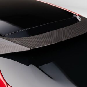 Novitec Ferrari Purosangue ESTESO ROOFSPOILER RACE