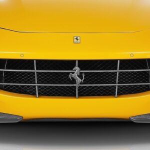 Novitec Ferrari FF FRONT GRILL