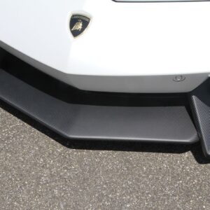 Novitec Lamborghini Aventador Aventador Roadster FRONT STRUT