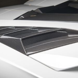 Novitec Lamborghini Aventador Aventador SV Roadster AIR INTAKE