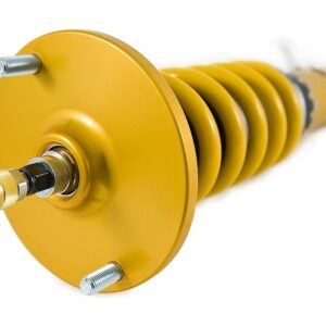 Ohlins Road & Track Coilover Suspension Skyline GT-R (R33, R34) NIS MI10S1