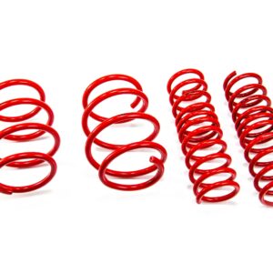 MTS Technik Lowering Springs Set BMW 5 (E39) MTSXBM241