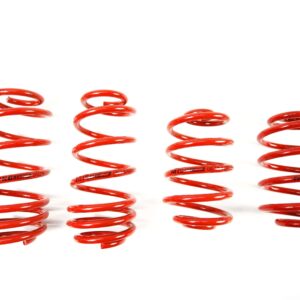 MTS Technik Lowering Springs Set Volkswagen PASSAT B5 (3B2) MTSXVW218