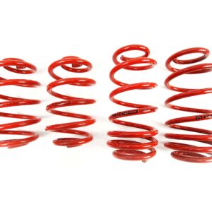 MTS Technik Lowering Springs Set Volkswagen PASSAT B5.5 Variant (3B6) MTSXVW224