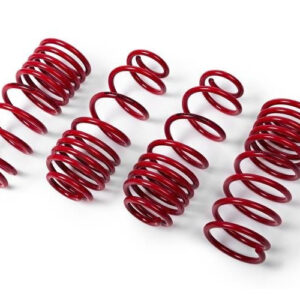 MTS Technik Lowering Springs