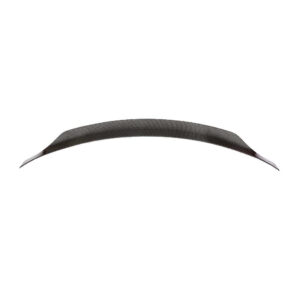 Long, curved carbon-fiber strip with tapered ends on a white background