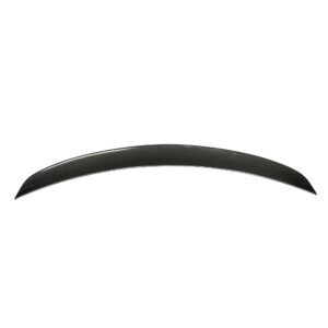 Curved carbon fiber car spoiler wing for a sports car