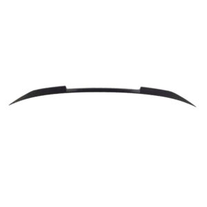 Curved carbon-fiber car spoiler with raised end sections, viewed from the side.
