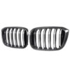 main_da219190-7fa7-46ee-a9f6-9baa11b2c415jpg - OPSHOLDERS Pair of black carbon-fiber BMW kidney grilles with vertical slats shown side by side.