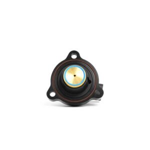55032135845_0b660e6747_kjpg - OPSHOLDERS Small car audio speaker component with a black circular housing and a gold center cap, mounted by three holes for screws.