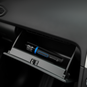 Neoline DELA-B Portable Tire Inflator