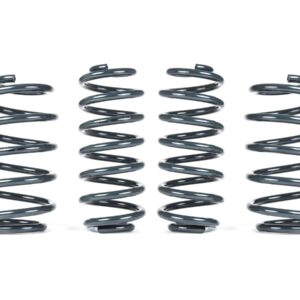 Four black metal coil springs standing upright against a white background.