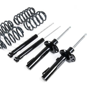 Set of black coil springs and telescopic shock absorbers laid out on a white background for a car suspension system