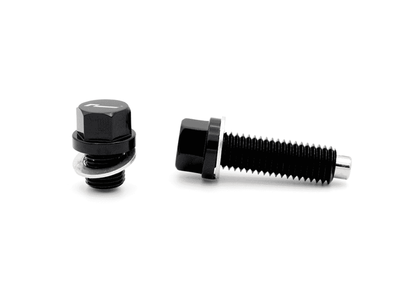 haldex-magnetic-plug-set_50810860782_o-1png - OPSHOLDERS Two black metal fasteners on a white background: a hex bolt with washer and a separate threaded bolt/ stud nearby.