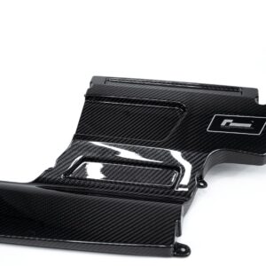 Carbon fiber motorcycle fairing panel with a glossy finish and an 'F1' emblem plate on the side.