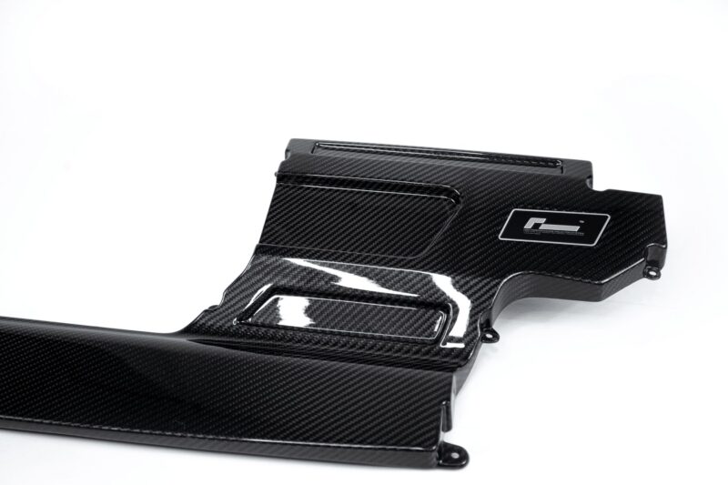 Carbon fiber motorcycle fairing panel with a glossy finish and an 'F1' emblem plate on the side.